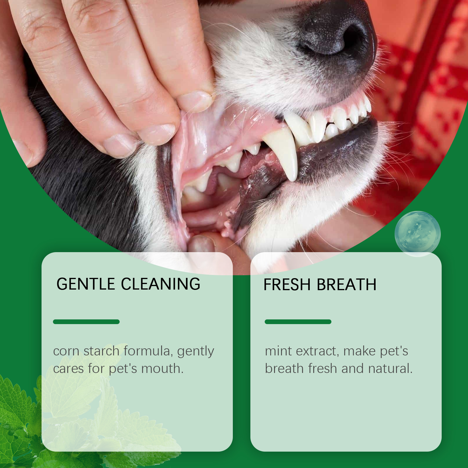 Pet Teeth Cleaning Powder Redu - Teeth Whitening Quotes 评论和价格