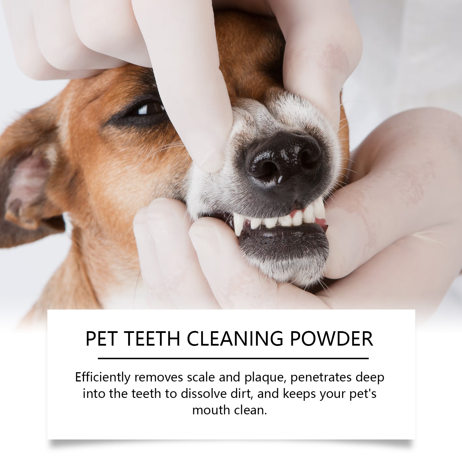 Pet Teeth Cleaning Powder Redu - Teeth Whitening Quotes 评论和价格